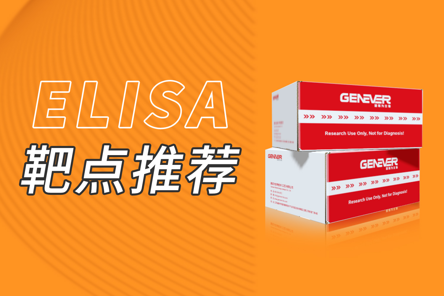 ELISA靶點推薦｜先天免疫和炎癥的核心介質—白細胞介素1